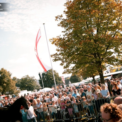 2024-08-20 | Wendsche Kärmetze '24<br>↪ Kirmes ToTaL | Tierschau