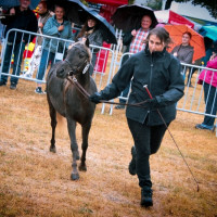 m